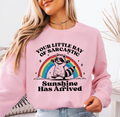 Little Ray Of Sarcastic Sunshine funny sweatshirt